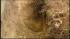 Child's corpse found buried in Farmingdale... ::