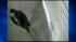 More video released in Union Square stabbing ::