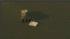 RAW VIDEO: Newscopter 7 over Bayhead, NJ ::