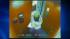 Suspect questioned in New York elevator... ::