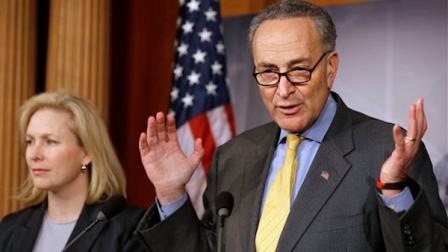 senator charles schumer
