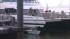 Dozens injured in lower Manhattan ferry... ::