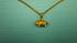 Skeletal remains, necklace, found along Long... ::