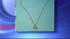 Police hope necklace can help ID beach remains ::