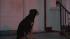 Power of Twitter helps get a dog in from the... ::