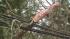 Connecticut residents cleanup after wind and... ::