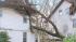 NJ cleanup after wind storm ::