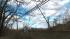 Storm damage causes LIRR commuting mess ::