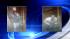 Thieves steal jewelry in brazing Four Seasons... ::