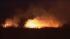 2 bodies found in brush fire in Howard Beach :: deadly brush fire in howard beach, queens