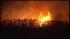 2 bodies found after brush fire :: queens brush fire deaths