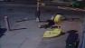bronx dog attack