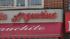 Reaction to the new pope in Elmhurst :: elmhurst pope reaction