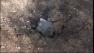 west bank protest israel rocket