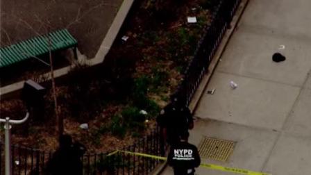 deadly shooting in the bronx