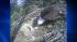 bald eagle cam