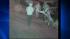 bronx beating on camera