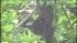 bee hive