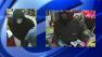 suffolk county robbery spree