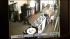 pot robbery caught on camera