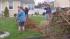 dumont tree