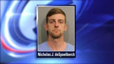 nicholas despoelberch
