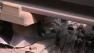 kitten stuck on subway track