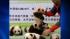 panda cubs