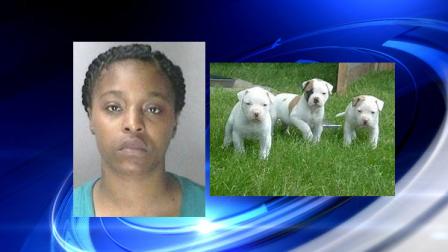 kimberly matthews accused of freezing puppies