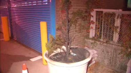 man sets fire outside queens police station