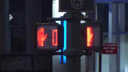 crown heights hit and run