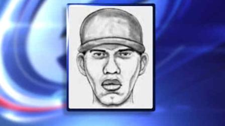 valley stream home invasion sketch