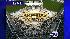 Pope at Yankee Stadium