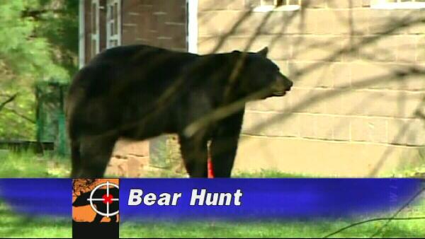 Bear hunt