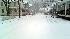 Snowstorm, 12/19/08