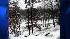 Snowstorm, 12/19/08