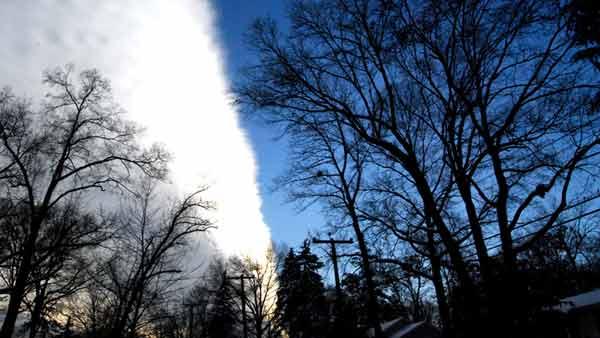 From Shelia Thomson in Chatham, New Jersey