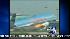 VIDEO: Birds and planes ::