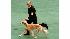 Westminster Dog Show