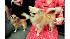 Westminster Kennel Club Dog Show