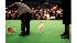 Westminster Kennel Club Dog Show
