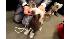 Westminster Kennel Club Dog Show