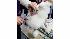 Westminster Kennel Club Dog Show
