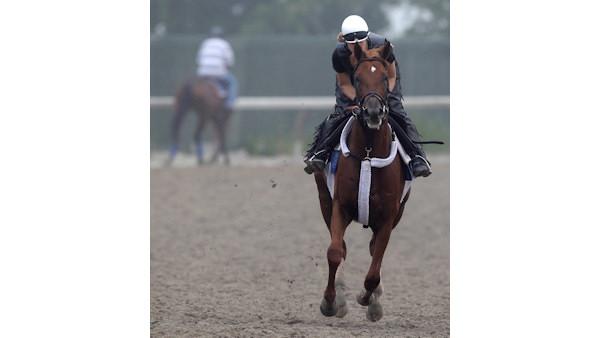 2010 Belmont Stakes