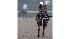 2010 Belmont Stakes