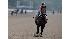 2010 Belmont Stakes