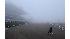 2010 Belmont Stakes
