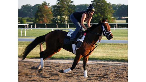 2010 Belmont Stakes