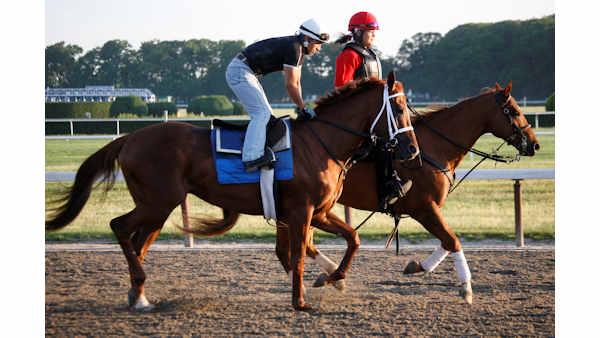 2010 Belmont Stakes