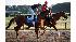 2010 Belmont Stakes